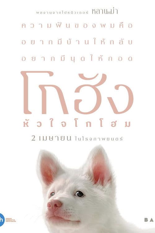 โปสเตอร์หนัง โกฮัง..หัวใจโกโฮม