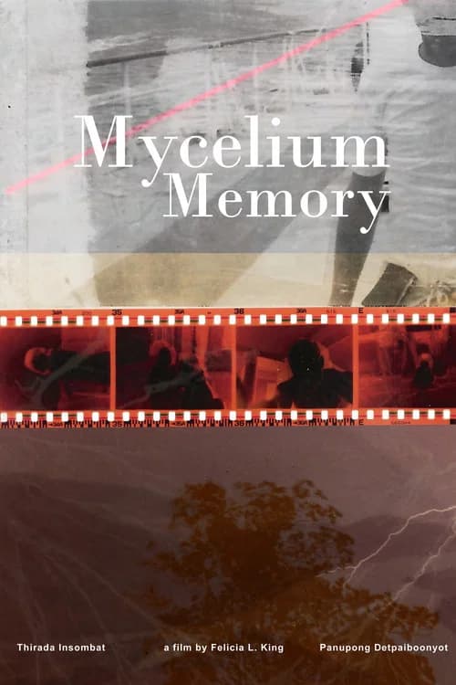 โปสเตอร์หนัง Mycelium Memory